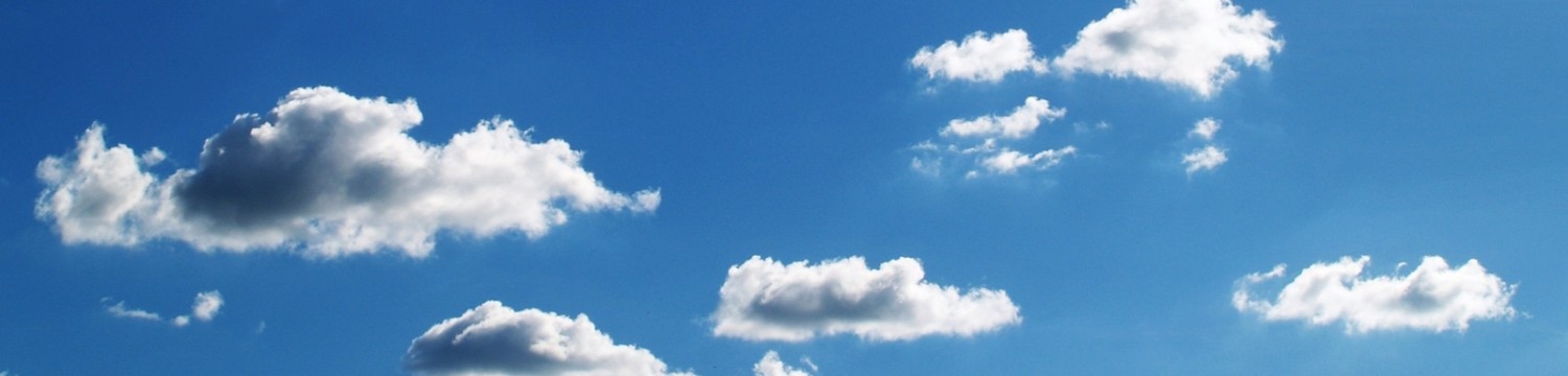 Looking Ahead Clubhouse